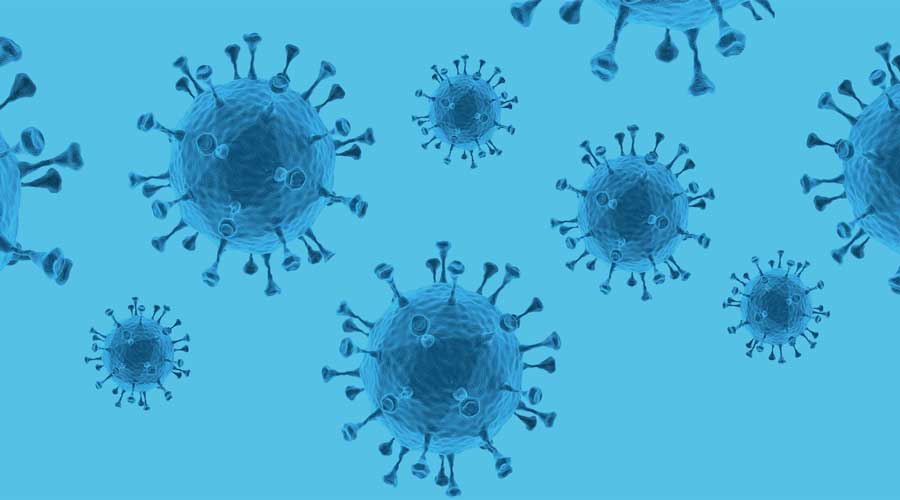 Virus Microscopic View